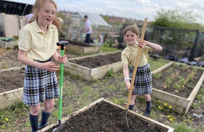 Allotment-thumb